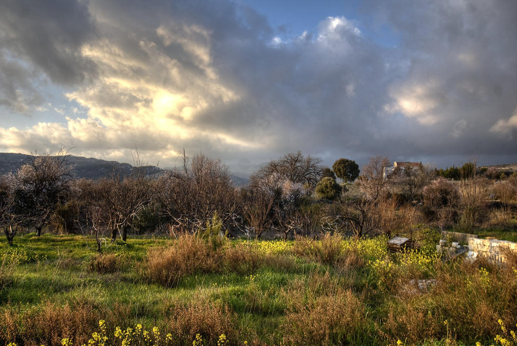 Lania Royal Oak House By Trulycyprus Villa Eksteriør billede